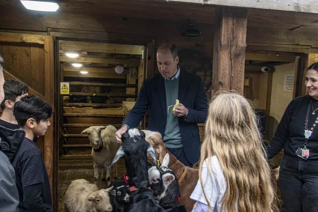 The Duke of Cambridge feeds the 12 goats which live at CATCH on Hovingham Road in Harehills. He was there to visit the charity and witness the community work that it does.