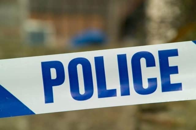 The dead Staffordshire Bull Terrier was found near Wakefield on Tuesday