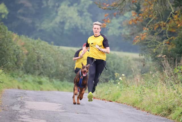 Stuart the Dobermann out running with trainers from The Dogs Trust Leeds. Staff at Leeds Rehoming Centre realised they had to find an outlet for Stuart’s strength and energetic antics and introduced him to canicross.