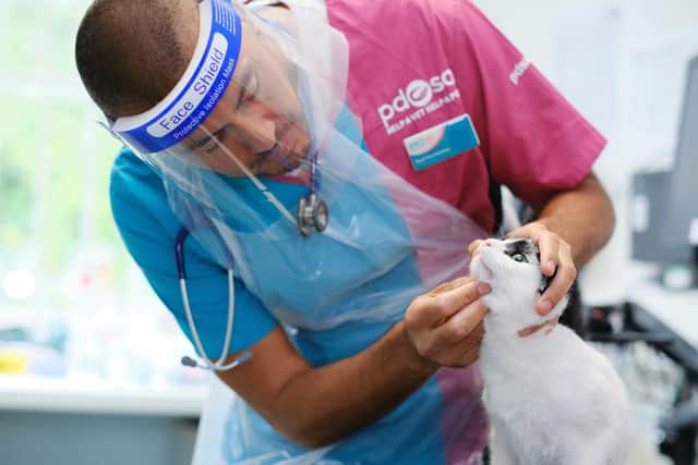 Bought By Many analysed the locations of more than 521,000 cat and dog-owning households in Britain to reveal which towns and cities have the best and worst access to veterinary clinics.