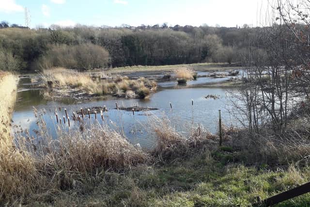 Rodley Nature Reserve which will be closing in the new year to allow for works on a new housing development.
Picture: John Peat