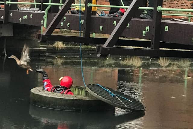The RSPCA and fire service rescued a mallard who had gotten stuck in a drain in the River Aire. The photograph shows the moment the bird freely flies away.