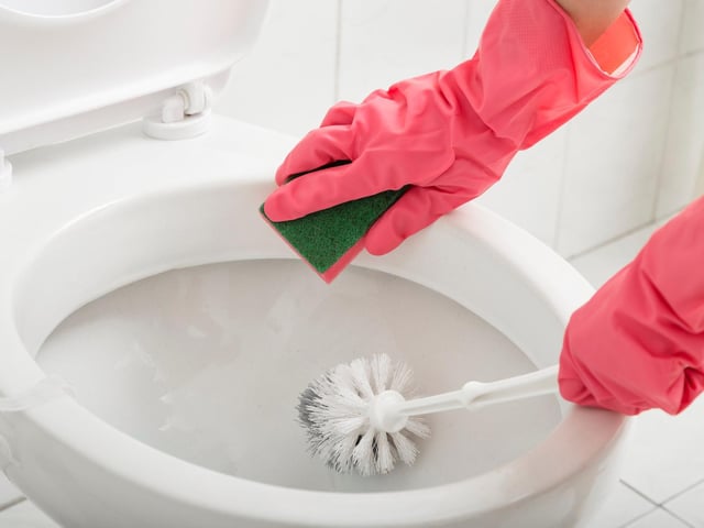 And cleaning the toilet is also Googled, on average, 20 times a month.