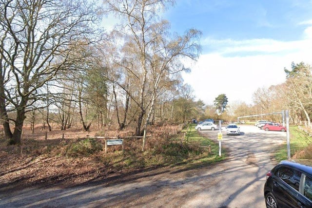 February 9, 10.30am – A two-hour, 4.3-mile walk with an 80-metre ascent. Lovely heathland area on paths with no stiles, Meet: Iping Common car park, GU29 0PB.