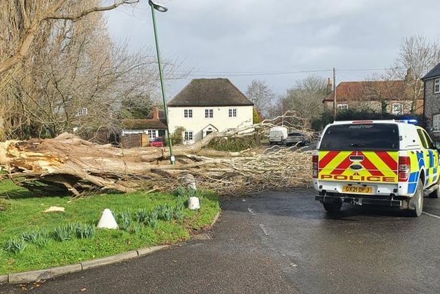 Chichester Police were been called to deal with a fallen tree in Tangmere. SUS-220218-112120001