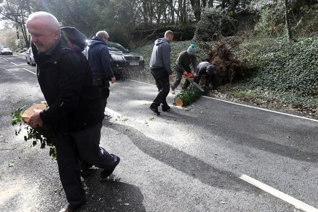 Members of the public in queueing traffic pictured taking action and removing a fallen tree at Kennel Hill, Goodwood to open up the road thanks to Steve Christopher from NSF Solutions Ltd. SUS-220218-143425001