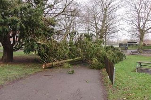 Branches have come down in St Nicholas Park
