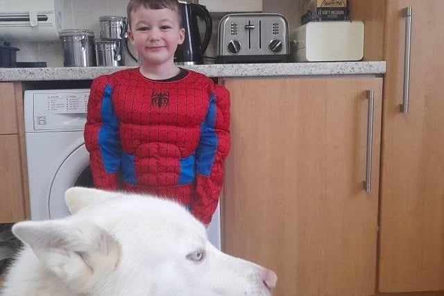 Kelly Tarren sent in Ozzie as Spiderman. A hero and his side kick. These two come as a pair most of the time! EMN-220403-130202001