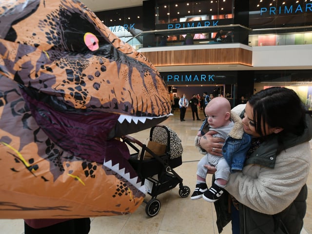 Inflatable dinosaurs roaming the City Centre to publicise the T.Rex:The Killer Question event at Peterborough Cathedral in July EMN-220303-151157009