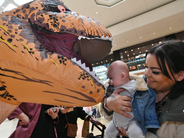 Inflatable dinosaurs roaming the City Centre to publicise the T.Rex:The Killer Question event at Peterborough Cathedral in July EMN-220303-151157009