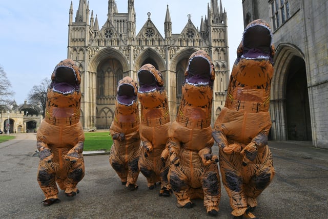 Inflatable dinosaurs roaming the City Centre to publicise the T.Rex:The Killer Question event at Peterborough Cathedral in July EMN-220303-151157009