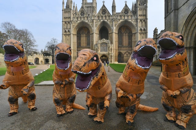 Inflatable dinosaurs roaming the City Centre to publicise the T.Rex:The Killer Question event at Peterborough Cathedral in July EMN-220303-151157009