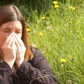 Millions of people suffer from hay fever in the UK