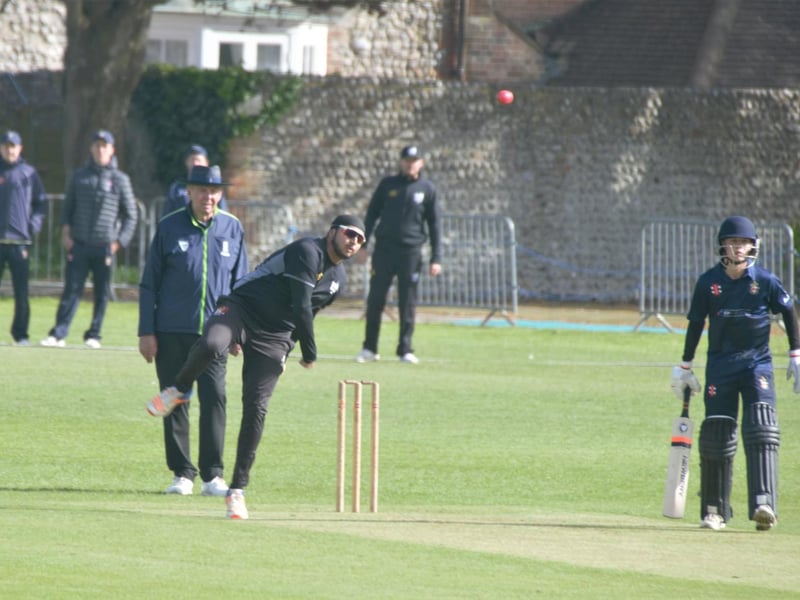 33 wickets @18.55