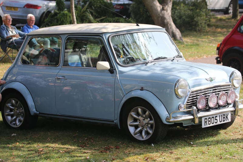 More than 200 Minis were on display in Steyne Gardens, Worthing, on Sunday, September 5