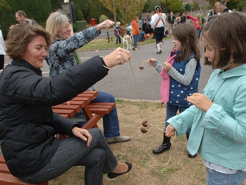 Conker Festival at the Henty Arms in Ferring in 2008. Pictures: Stephen Goodger