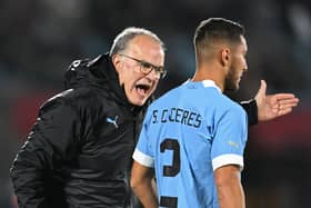 Uruguay's coach Argentine Marcelo Bielsa (L) gives instructions to Uruguay's defender Sebastian Caceres during the 2026 FIFA World Cup South American qualification football match between Uruguay and Brazil at the Centenario Stadium in Montevideo on October 17, 2023. (Photo by Eitan ABRAMOVICH / AFP) (Photo by EITAN ABRAMOVICH/AFP via Getty Images)