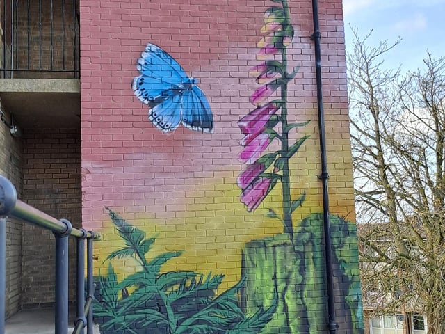 One of Faunagraphic's murals showing a butterfly in flight