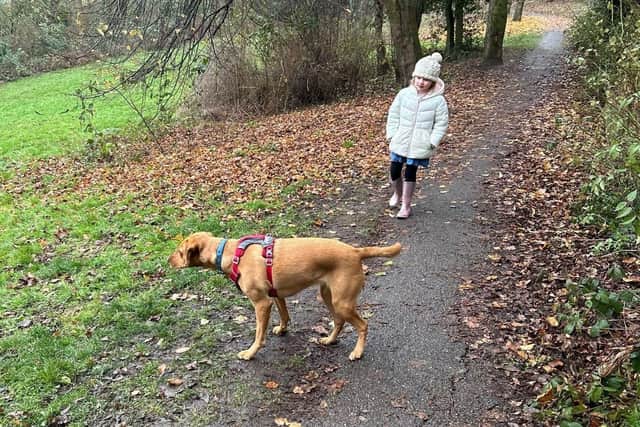 Isabelle Lauder out and about with support dog Peggy when she was in training