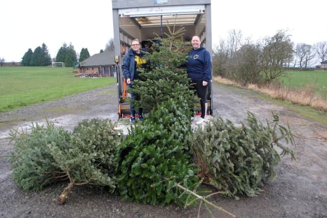 Meet our Tree-mendous Collection teams!