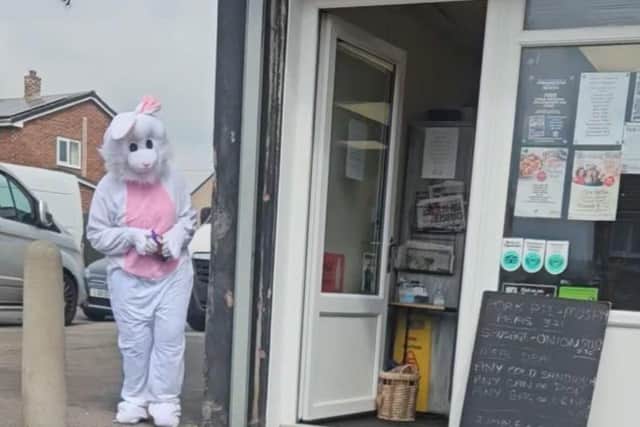 The Easter bunny lying in wait at Maggie's Coffee Shop on Tennyson Road