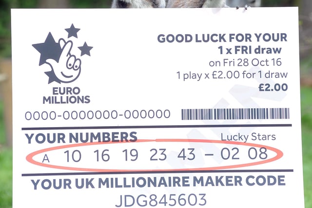 People had plenty of ideas about how they'd spend their winnings if they won the lottery.