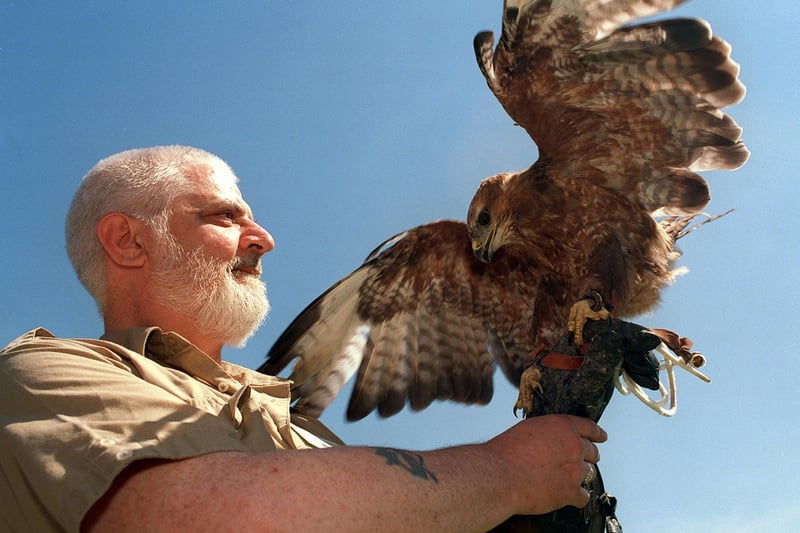 Pictured is Pat Hocking of Hooters Owl & Bird of Prey Sanctuary holding a buzzard which was flying as part of the entertainment at Rothwell Carnival in July 1999.