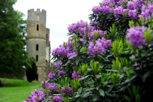 Wentworth Castle Gardens, near Barnsley,  is a popular National Trust site.