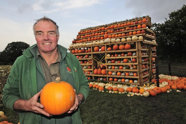 Rory Kemp in the pumpkins