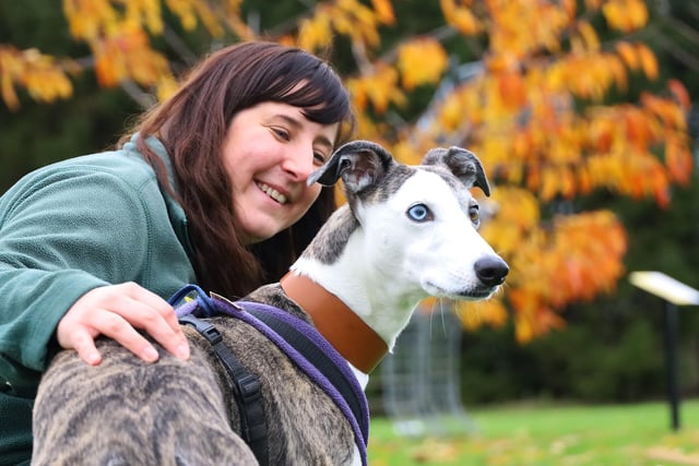 Missi is a six-year-old Lurcher who forms a very strong, loving bond with her family. She needs to get to know people properly before she will show her true character but she is worth the wait.