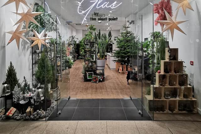 Step into the wonderful world of plants at this new pop up shop