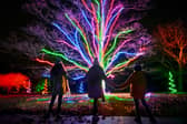 Christmas at Temple Newsam to turn gardens into a winter wonderland