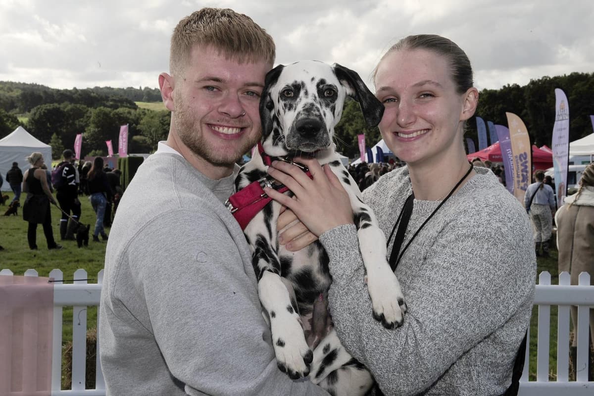 Dogfest DogFest Leeds 2023: Best pictures as adorable dogs take over Harewood ...