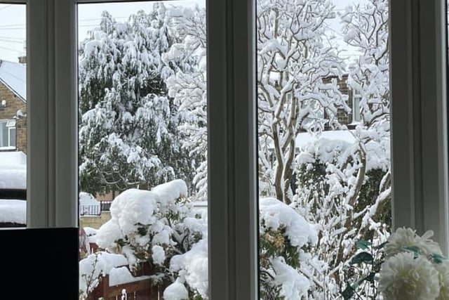 Carol Hallsworth said: "Lovely through the window when you don’t need to venture out."