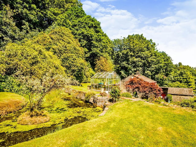 The pond, fringed with trees, adds to the garden's appeal.