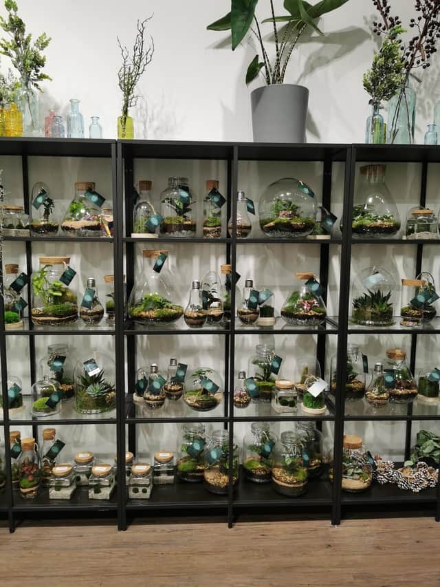 The Plant Point has opened a new pop-up store in Trinity Leeds specialising in its much-loved handmade terrariums.