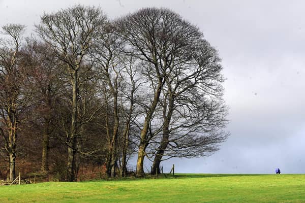 The petition opposes the installation of a telecom mast on Rawdon Billing.