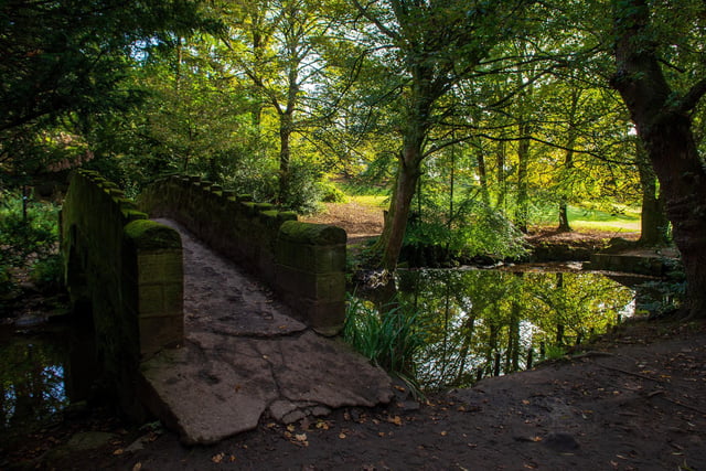 The Meanwood Valley Trail is seven mile linear walk runs from Woodhouse Moor, along the Meanwood Valley through to Breary Marsh, next to Golden Acre Park. Meandering through pretty woodland along a relatively flat route, it is fit for all abilities.