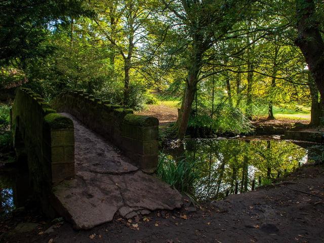 The Meanwood Valley Trail is seven mile linear walk runs from Woodhouse Moor, along the Meanwood Valley through to Breary Marsh, next to Golden Acre Park. Meandering through pretty woodland along a relatively flat route, it is fit for all abilities.
