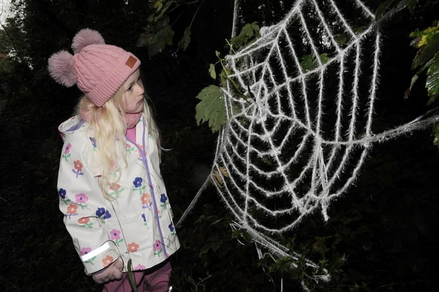 Olivia Broadhead, four of Lofthouse has a wary look at the spiders web