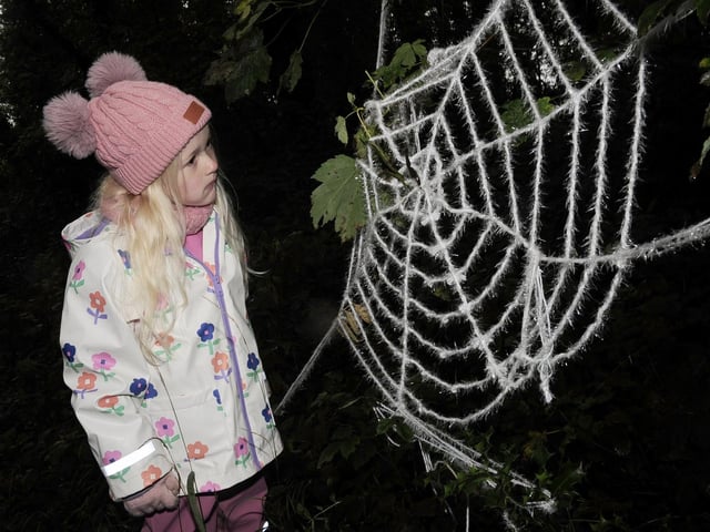 Olivia Broadhead, four of Lofthouse has a wary look at the spiders web
