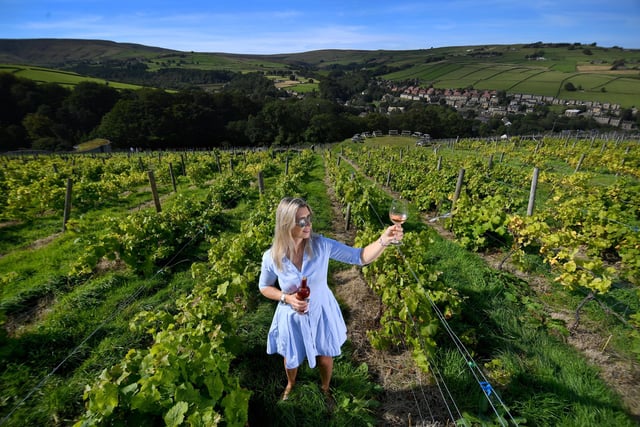 Holmfirth Vineyard is a family owned vineyard located in the picturesque hills of the Holme Valley, just under an hour's drive away from Leeds. Visitors can soak up the sun outside, and book in for a tour and wine tasting.