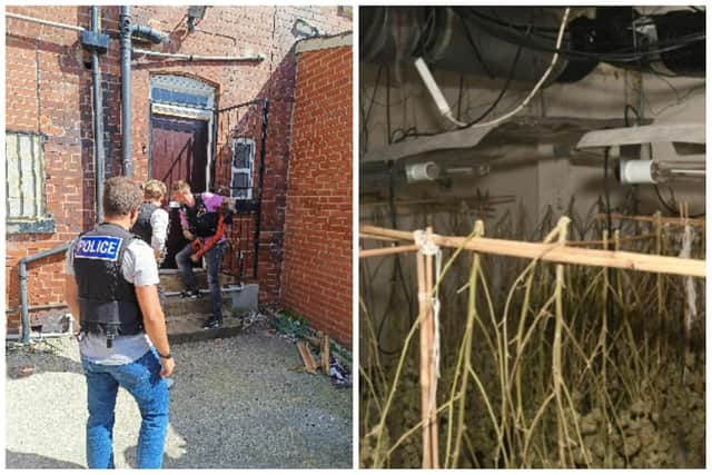 Police executed a drugs warrant at a cannabis farm in Harehills as part of a crime crackdown. Photo: West Yorkshire Police
