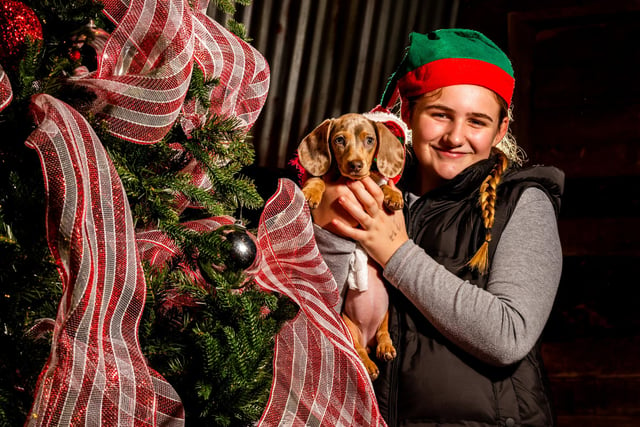 Heidi Steeple, 10, brought along 12-week old pup Dolly.