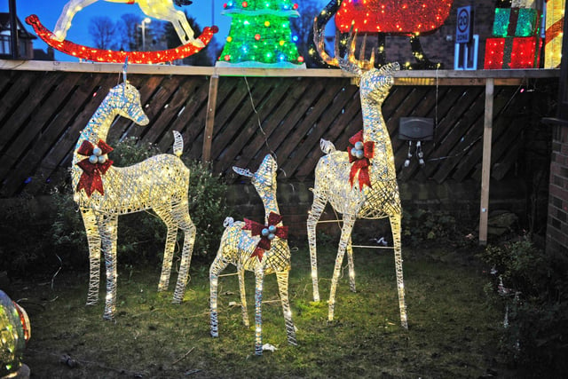 Reindeer are a prominent theme throughout this year.