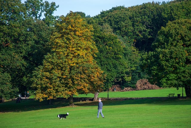 Meanwood Valley Park runs from Meanwood into the more rural countryside around Adel and Alwoodley. For dog walkers looking for a Sunday afternoon stroll, the Meanwood Valley Trail is a 7 mile linear walk excellent for exploring.