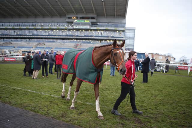 The racing industry has rallied round Rob Burrow and the MND community. Racehorse Beep Beep Burrow, which raises funds to fight the terminal illness, is pictured in the parade ring at Doncaster Racecourse earlier this year. Picture by Louise Pollard.