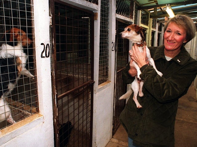 Lynne Ayscough with Teabag, a rough haired terrier, just one of the many rescued dogs being looked after at Rainbow Kennels in Wortley in January 1997.