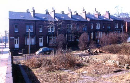 A view of the front of houses on Tower Grove in April 1969. The land in the foreground is gardens for the houses.
