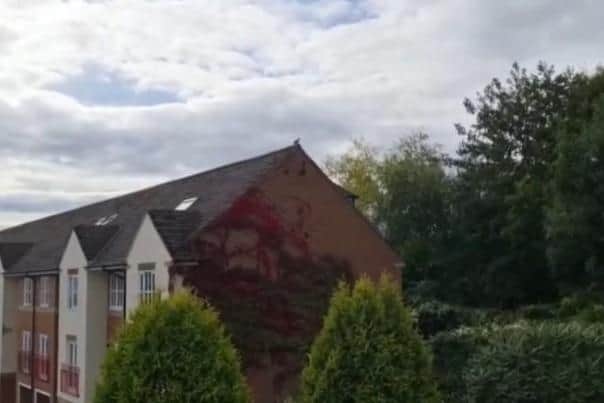 Complaints have been made to Leeds City Council about the 'cacophony of noise'